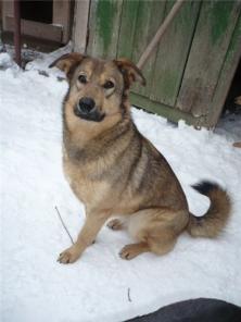 ������ ����� - ��������������� ���������! ������-��-����