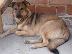 ������ ����� - ��������������� ���������! ������-��-����