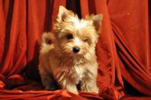 ����� ������ �������� ������� ����