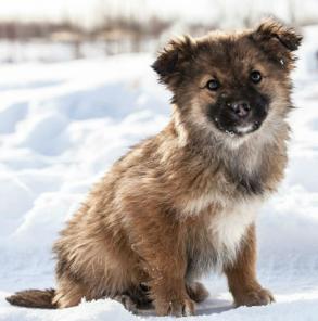 Злата 3 мес. в дар