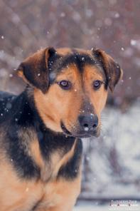 � ��� �������� ���������� ������� ��� ��� � ������ ������