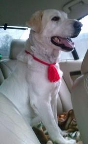 ������� ������ ����� ���� ������� ������.