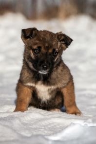 ����  3 ���. � ���