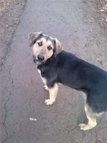 ������, ������ �� ���� ����. �������������.