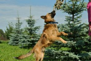 ��� � 2 ����, � ������ ����