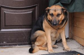 ������ ������� ����� ����� ���! (���)