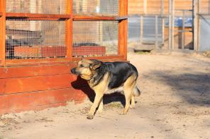 ������ ������� ����� ����� ���! (���)