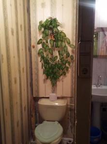 �������! 3 ��������� ������  ��������