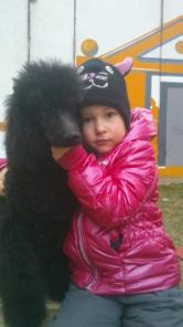 ������ �������