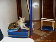 �����, 1 ���.