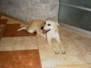 �����, 1 ���.