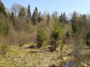 Продам дачный участок