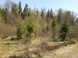 Продам дачный участок