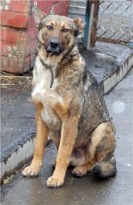 ������� ������ 2����, �������� � ���������!