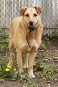 ���� ����� ������ � ��������� ���� � ������� ����� ������!������