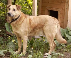 ���� ����� ������ � ��������� ���� � ������� ����� ������!������