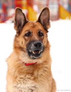 ���������� �������� ������� ���� ���.