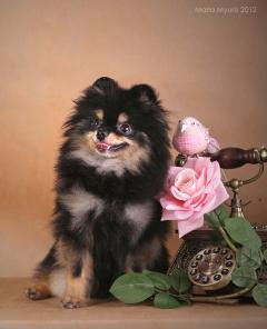 ����������� ���� ������ ��� �����