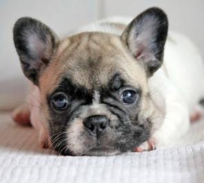 ������������ �������� ������� ����� ������ ������