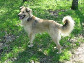 �������� ���� � ���!