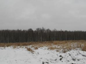 ДНП "Цветочное" Олики