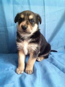 ����� 1 ���.