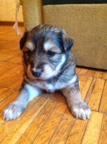 ����� 1 ���.