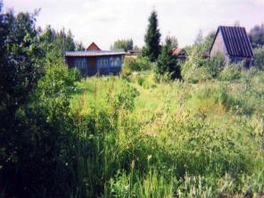 Садовый участок 6 соток в массиве Трубников Бор (Тосненский) продается