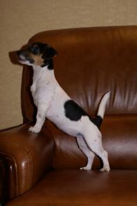 ������ ������ ���� ������� �������