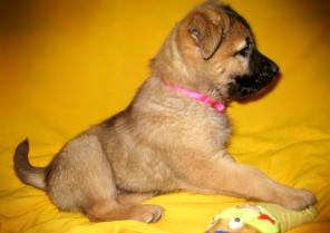 3������������ ������� 3 ���. ���� ������ ������!