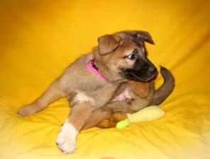 3������������ ������� 3 ���. ���� ������ ������!