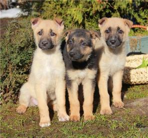 �������, ����� � ����� - � ������ ����.