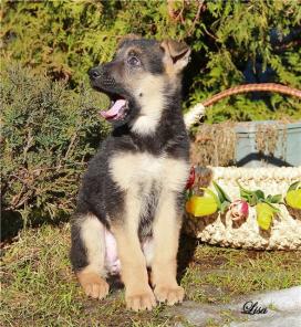 �������, ����� � ����� - � ������ ����.