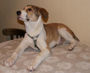 ������������� � �����