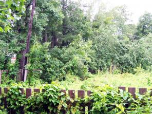 Земельный участок 15 соток ЛПХ в Лопухинке (Ломоносовский) продается