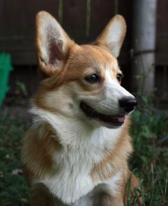 ������� ����� ����� ����� �������