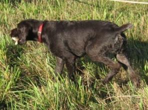 ����� ���������