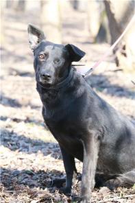 ����� ������� � ������ ����!