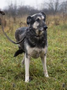 ����� ������� ���� � ����� ������� ���� ���!