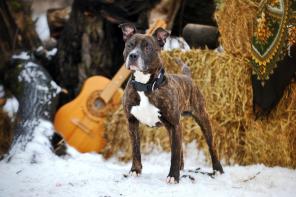 �������� ������� - � ������ ����