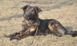 ������ �������� � ������ ����, 1 ���.