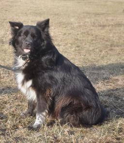 ��� ������ � ������ ����,3 ����