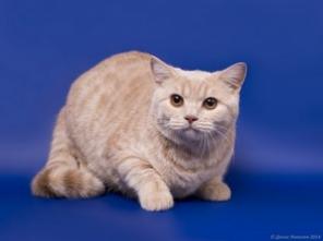 �������� ���������� �����