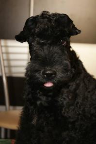 ����� ����� ��� �������