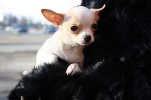 �������� ������