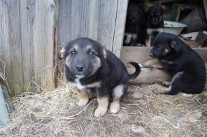 ����� ����� � ������ ����.