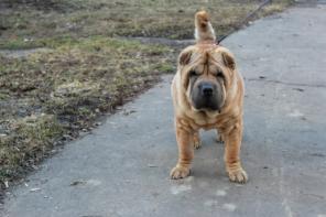 ������ ���� ���� ���!