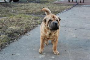 ������ ���� ���� ���!