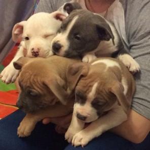 ������ ������ ��� �������� ���� �� ���������.