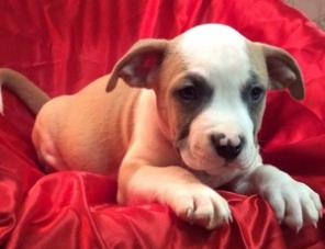 ������ ������ ��� �������� ���� �� ���������.